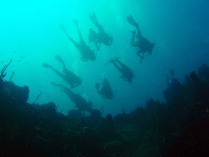 OLYMPUS DIGITAL CAMERA